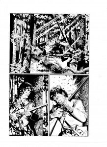 GH1 - inks